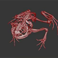 3D Rendered White Medical Device with Complex Structure Articulated Joints Reflective Surface on Black Background