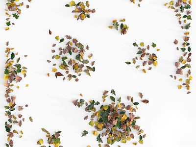 Colorful Autumn Leaves Scattered On White Wooden Background For Natural Decor 3d model