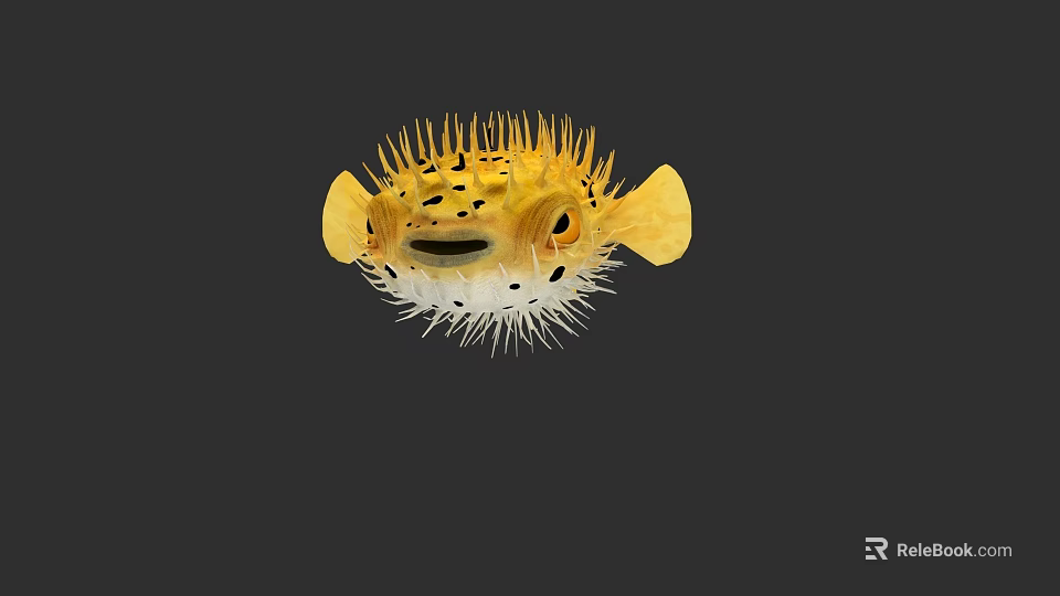 Yellow Pufferfish With Spines And Inflated Body In Dark Background 3d model 