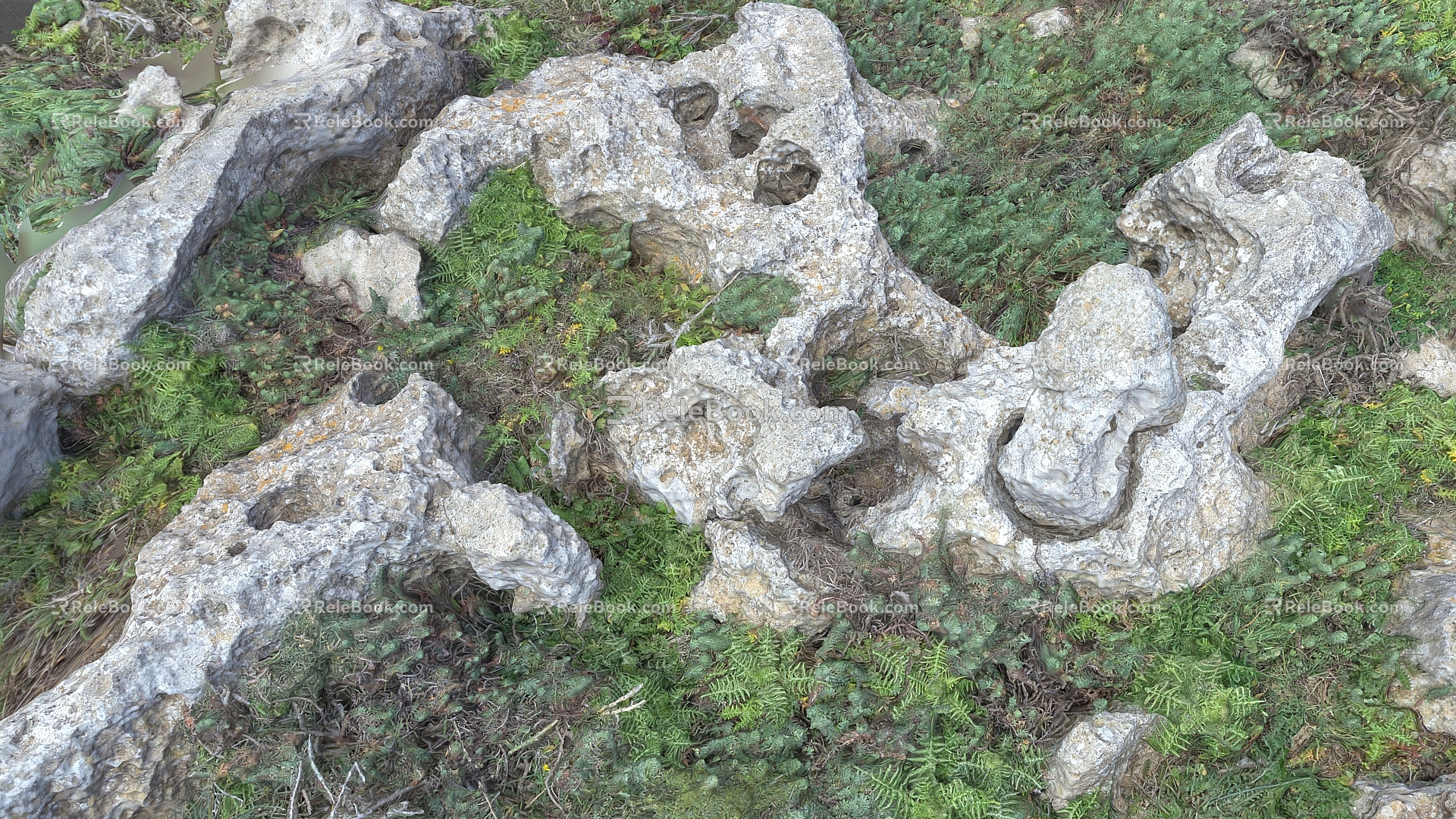 scanning terrain rock grassland stone heap stone forest 3d model