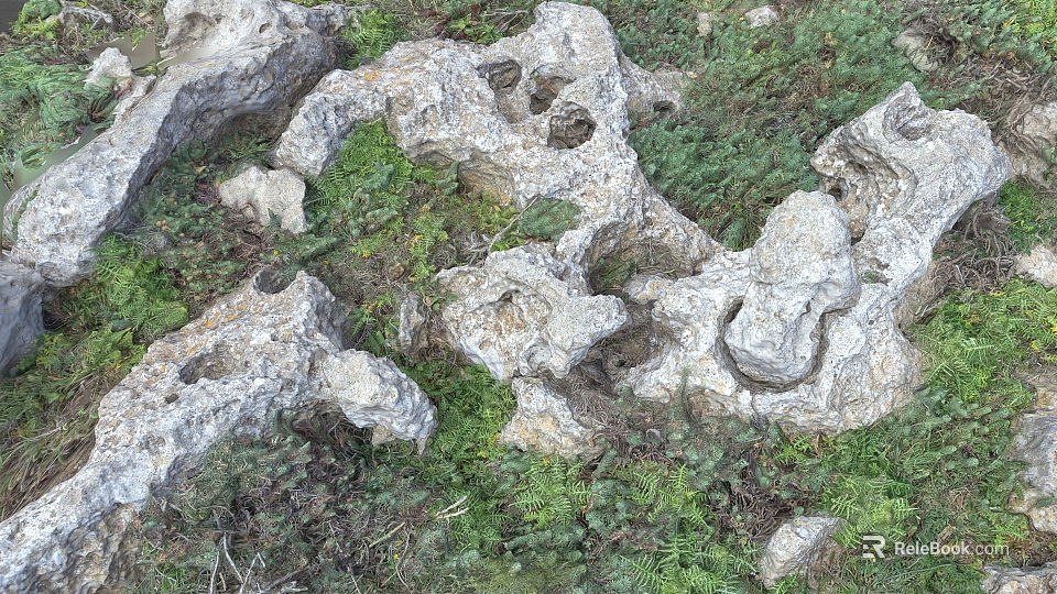 Stone And Wood Natural Decorative Elements With Greenery And Textured Surfaces 3d model 