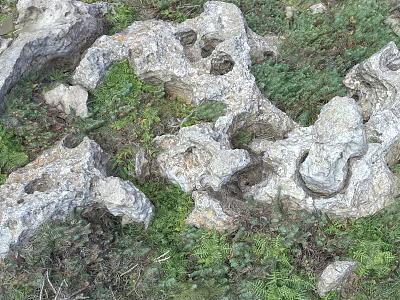 Stone And Wood Natural Decorative Elements With Greenery And Textured Surfaces 3d model