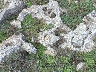 scanning terrain rock grassland stone heap stone forest 3d model