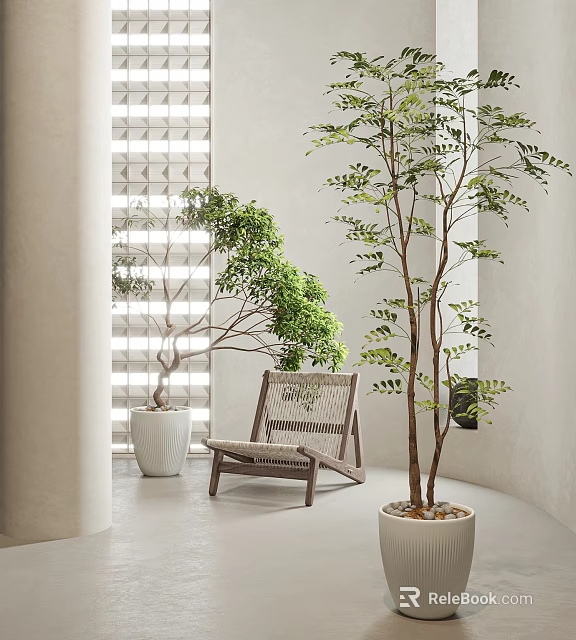 Bonsai Potted Trees In Modern Indoor Space With Natural Light And Wooden Chair 3d model 