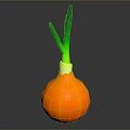 Fresh Ripe Orange Onion With Green Leafy Tops On Dark Surface