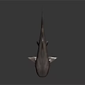 Gray Shark With Sharp Teeth And Dorsal Fin On Dark Reflective Surface