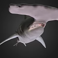 Detailed Realistic Shark 3D Rendering With Sharp Fins And Lifelike Body