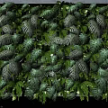 Living Plant Wall with Lush Green Foliage and Diverse Leaf Patterns for Natural Indoor Decoration