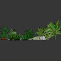Cartoon Scene Featuring Various 3D Modeled Green Potted Plants With Lush Foliage