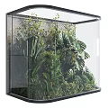 Lush Indoor Landscape With Diverse Green Plants Metal Grid Background And Transparent Ceiling