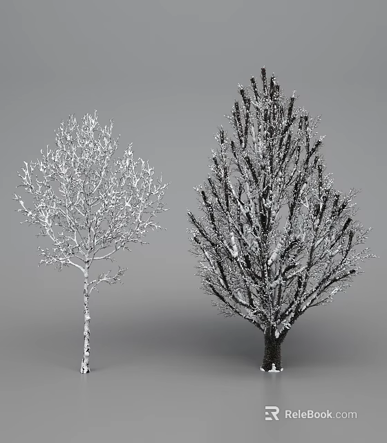 Two Deciduous Trees With White and Dark Trunks Covered in Snowy Branches 3d model 