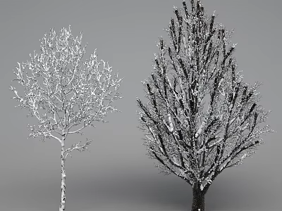 Two Deciduous Trees With White and Dark Trunks Covered in Snowy Branches 3d model
