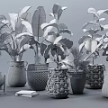 Various Potted Green Foliage Plants with Different Woven and Geometric Pattern Planters for Indoor Decor