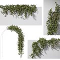 Lush Green Vines With Purple Flowers Hanging Twisting Climbing And Covering Garden Archway