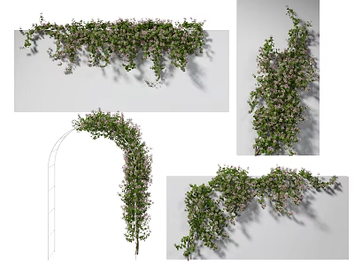 Lush Green Vines With Purple Flowers Hanging Twisting Climbing And Covering Garden Archway 3d model