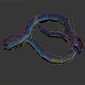 Blue Snake With Curved Body Shiny Scales And Yellow Accents