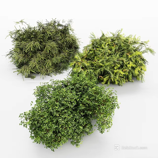 Three Different Green Leafy Plants Decorative Ornament Arrangement For Home Interior 3d model 