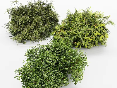 Three Different Green Leafy Plants Decorative Ornament Arrangement For Home Interior 3d model