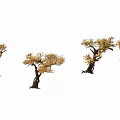 Yellow Leaf Shrubs with Thick Trunks Casting Shadows on Gray Background