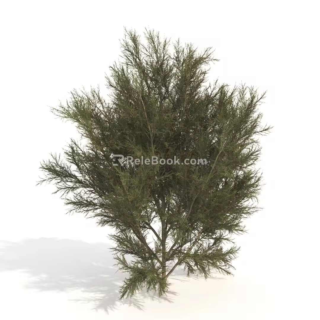 trees plants dwarf trees shrubs 3d model