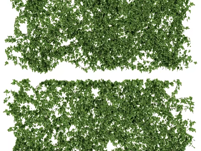 Lush Green Plant Wall With Dense Foliage For Indoor Outdoor Decoration 3d model