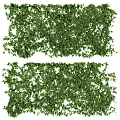 Lush Green Plant Wall With Dense Foliage For Indoor Outdoor Decoration