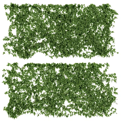 Lush Green Plant Wall With Dense Foliage For Indoor Outdoor Decoration 3d model