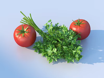 Fresh Red Tomatoes and Green Parsley Bunch Healthy Cooking Staples 3d model