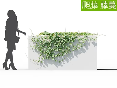 Climbing Green Vines Growing On White Structure With Lush Leaves And Shadows 3d model