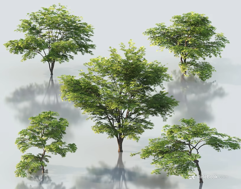 Arbor Trees Displaying Lush Green Foliage and Various Natural Growth Shapes in Outdoor Space 3d model 