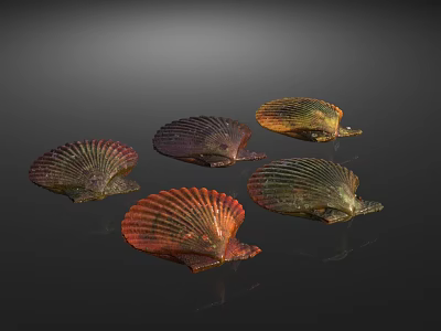 Colorful Seashells From Aquatic Animals With Red Purple Green Hues And Shiny Surfaces 3d model