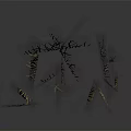 Golden Ornamental Grass Display Against Dark Background With Calm Reflection