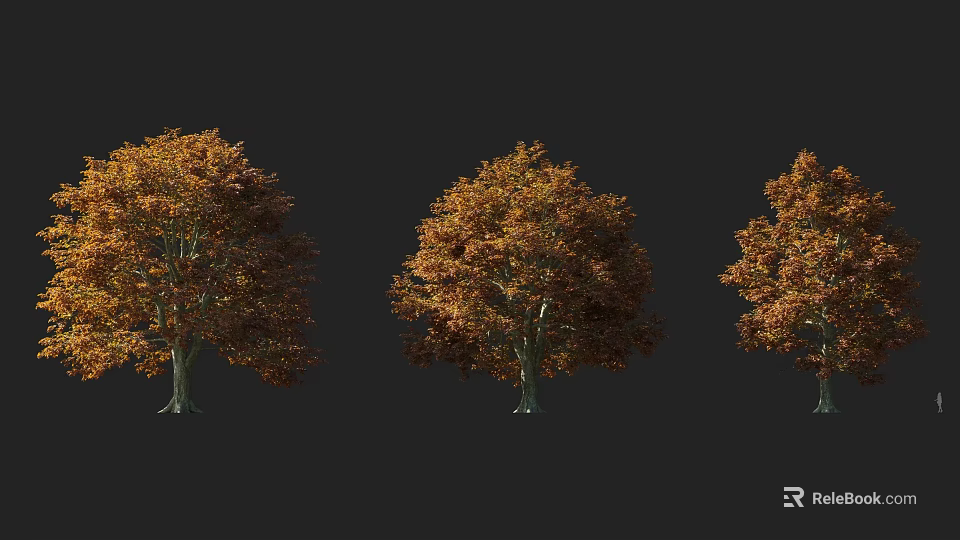Three Autumn Colored Arbor Trees With Lush Foliage On Dark Background 3d model