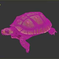 Vibrant Turtle with Orange and Green Glossy Shell Pattern on Dark Background 3d model