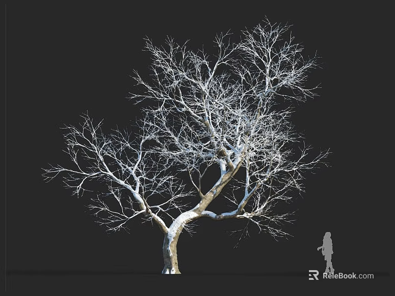 Tall Bare Branched Tree Silhouette Against Black Background With Human Figure 3d model 