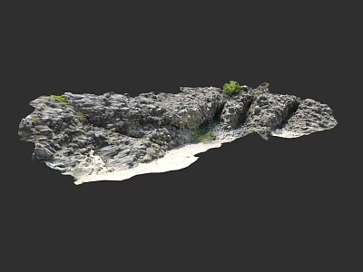 Realistic Detailed Micro Terrain With Rocky Surface And Small Green Plants 3d model