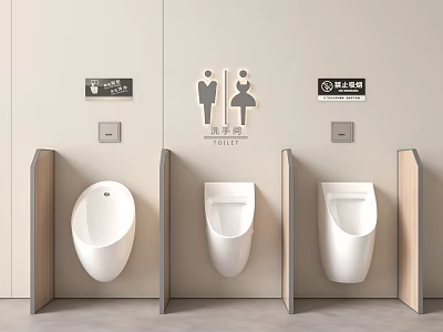 Wall Mounted Urinals In Public Restroom With Wooden Dividers Gender And Accessible Signs 3d model