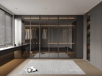 Modern Walk-in Closet Interior With Glass Doors Built-in Storage And Rug 3d model