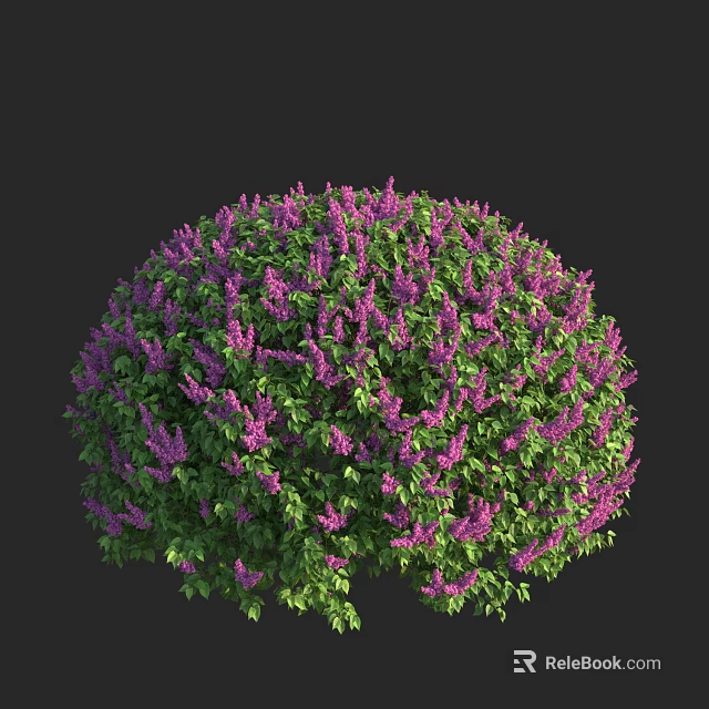 Lush Round Shrub With Vibrant Purple Flowers And Green Leaves 3d model 