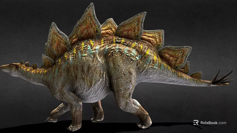 Realistic Stegosaurus Dinosaur With Colorful Spiked Plates In Natural Walking Posture 3d model 
