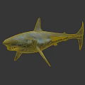 Realistic Blue Shark 3D Rendered With Open Mouth And Lifelike Swimming Pose