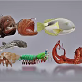 Diverse Aquatic Animals Collection Featuring Fish Octopus Shrimp and Crab
