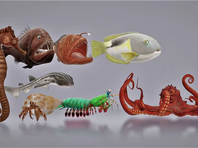 Modern Octopus Marine Life 3d model Modern Octopus Marine Life 3d model