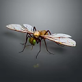 Detailed Insect With White Wings Green Eyes And Golden Brown Body