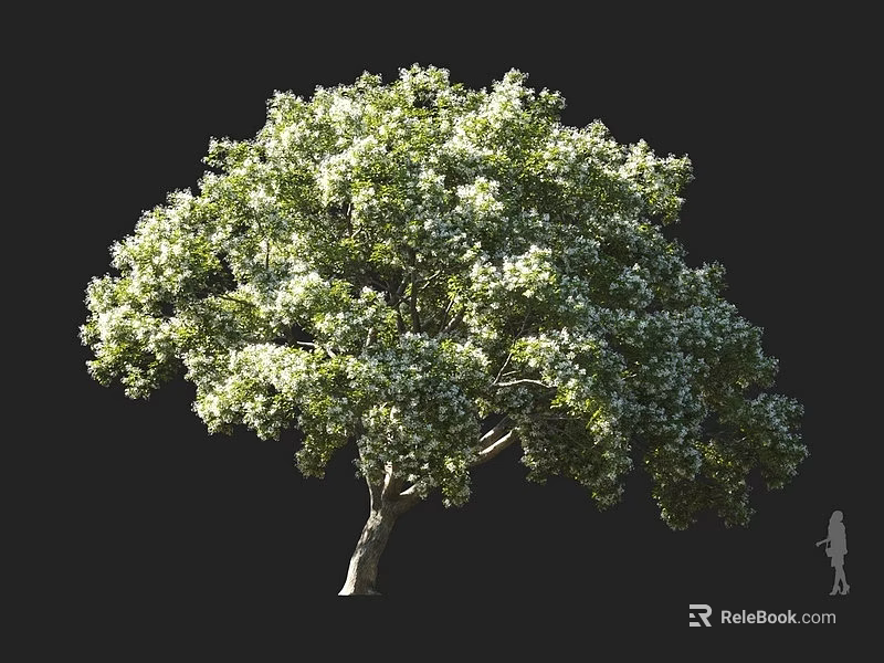 Tall Arbor Featuring Lush Green Foliage Thick Trunk And Human Figure For Scale 3d model 