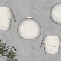 Cream Colored Paper Pendant Lights with Various Designs on Grey Wall Background and Green Plant