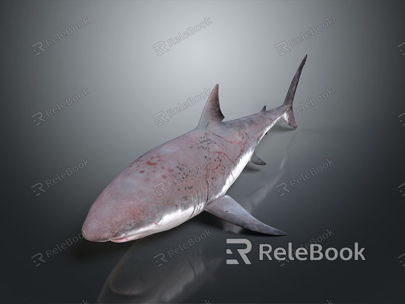 shark great white shark whale shark hammerhead shark tiger head shark man-eating shark blue shark coral red coral white coral model