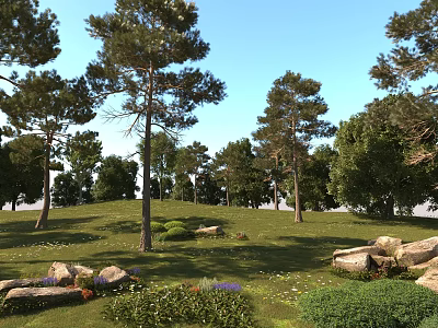 Serene Garden Landscape With Tall Pine Trees Green Grass Rocks Small Hill And Bushes 3d model