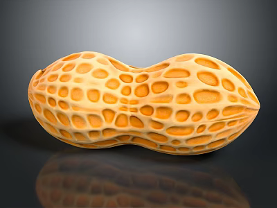 Detailed Whole Peanut With Natural Textured Shell On Black Reflective Surface 3d model