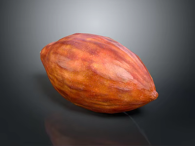 Realistic Ripe Brown Cocoa Pod With Textured Surface On Dark Background 3d model